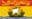 Area rank